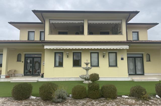 Dental Professionals