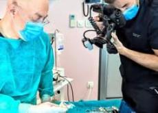 Clinica odontoiatrica Cekić 2